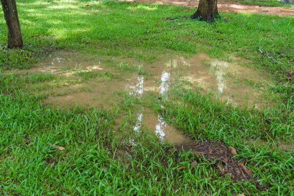 Cost of Storm Water Drainage Service in Seminole