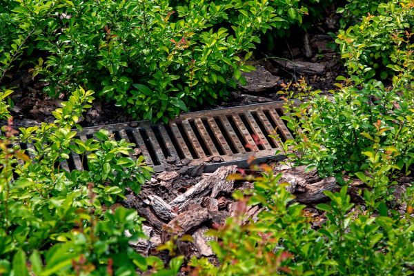 Cost of Underground Drainage Service in Seminole