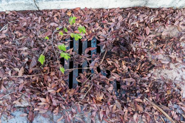 Cost of Yard Drain Unclogging in Seminole