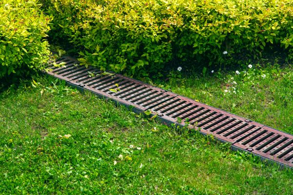 Cost of Lawn Drainage in Seminole