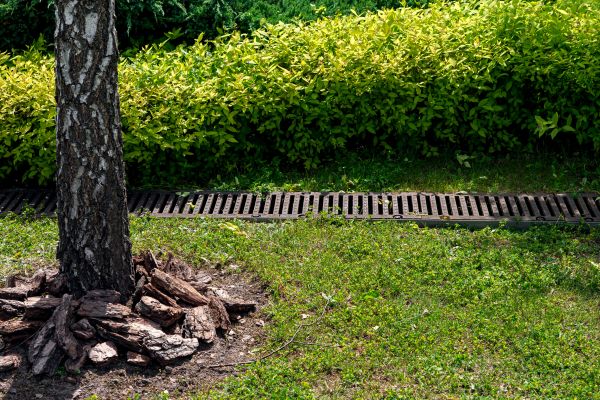 Cost of Yard Water Redirection in Seminole