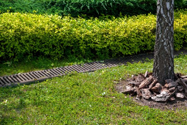 Cost of Residential Landscape Drainage in Seminole
