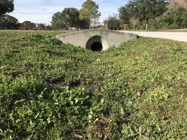 Cost of Swale Drainage Service in Seminole